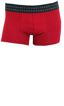 Load image into Gallery viewer, Bamboo Men's Trunks, More Colours