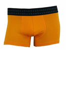 Load image into Gallery viewer, Bamboo Men's Trunks, More Colours
