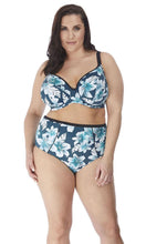 Load image into Gallery viewer, Island Lily Petrol Classic Brief, Pre-Order L - 6XL
