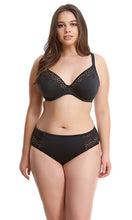 Load image into Gallery viewer, Indie Mid-Rise Brief, Pre-Order Size16-26
