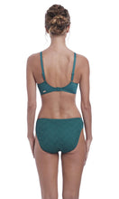 Load image into Gallery viewer, Marseille Pine Mid Rise Brief. Pre-Order Size XS - 2XL
