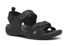 Load image into Gallery viewer, Austin, More Colours
